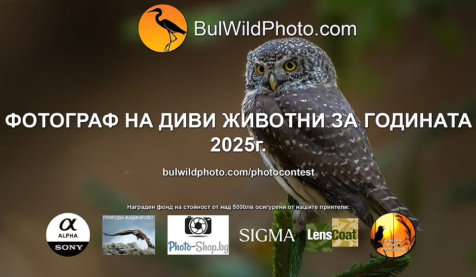 Плакат за конкурс ''Фотограф на дижите животни за година 2025''