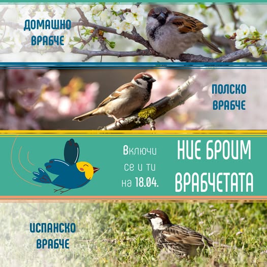 Плакат за ''Ние броим врабчетата''